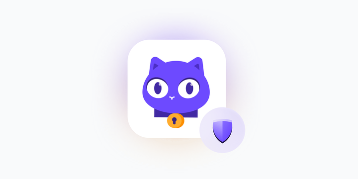 Proton LLM: Lumo security model