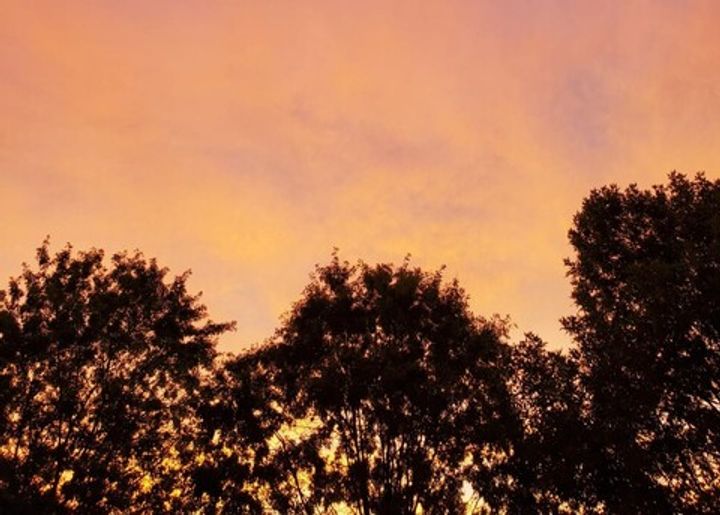 A New Blueprint: House of Leaves and AI