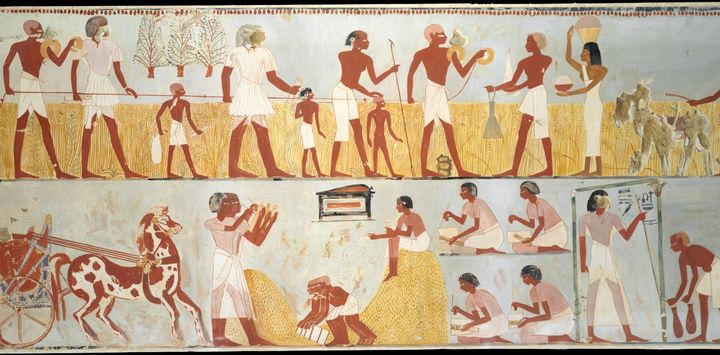 The reason states first emerged thousands of years ago – new research