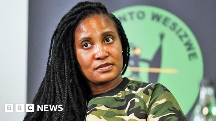 MP resigns over allegations she duped South Africans to fight for Russia
