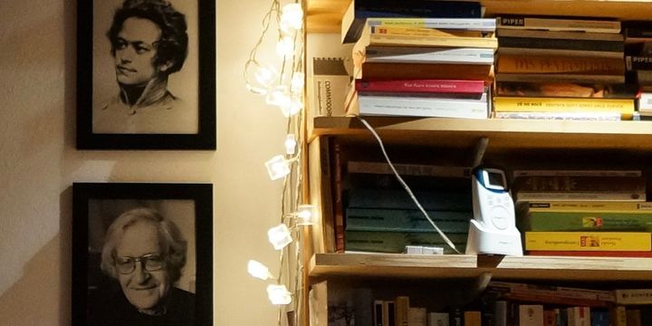 The Jeffrey Epstein Affair – Joscha Bach