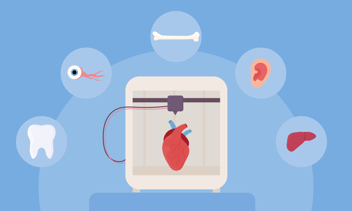 How to Print a Human