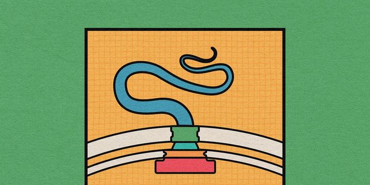 Animalcules and Their Motors