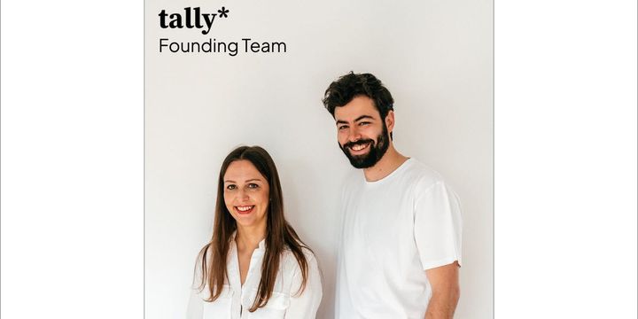 How Tally hit their first $1M ARR with a boring product