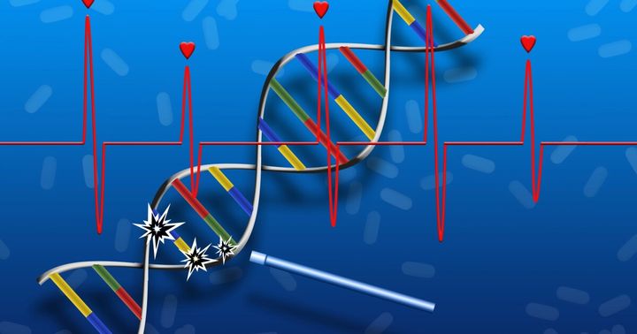 Breakthrough DNA repair drug could heal tissue damage