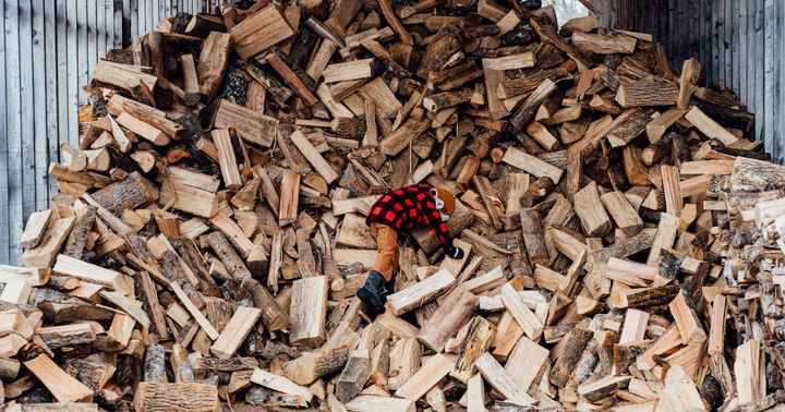 Firewood Banks Aren't Inspiring. They're a Sign of Collapse
