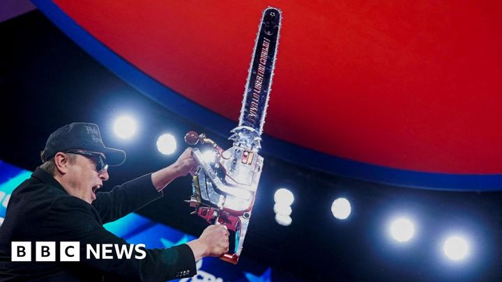 Elon Musk says Doge was 'somewhat successful' but he would not do it again