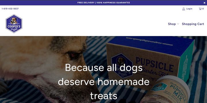 AI as the Great Democratizer