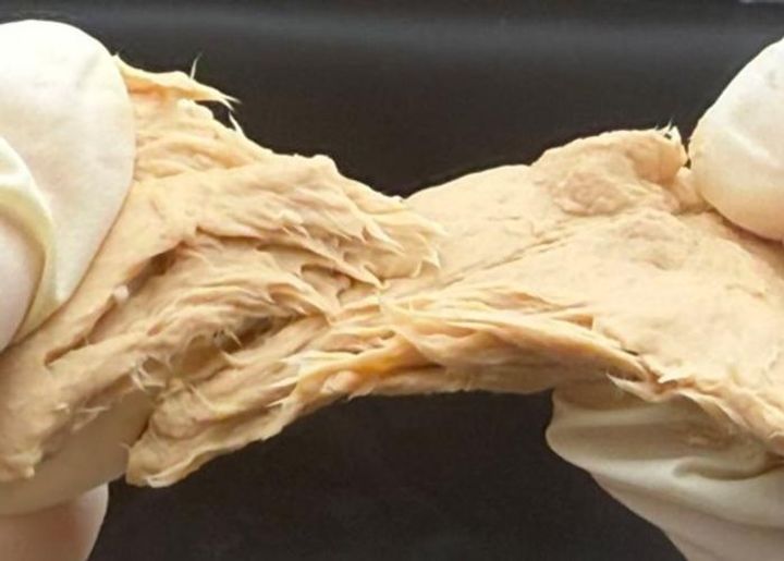 CRISPR fungus: Protein-packed, sustainable, and tastes like meat