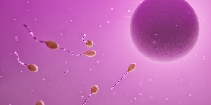 Sperm donor with cancer-causing gene fathers nearly 200 children