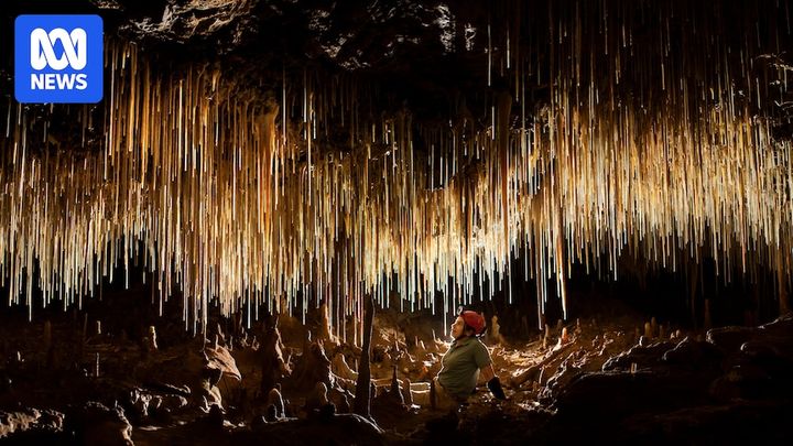 From devastation to wonder as Kangaroo Island bushfires lead to cave discoveries