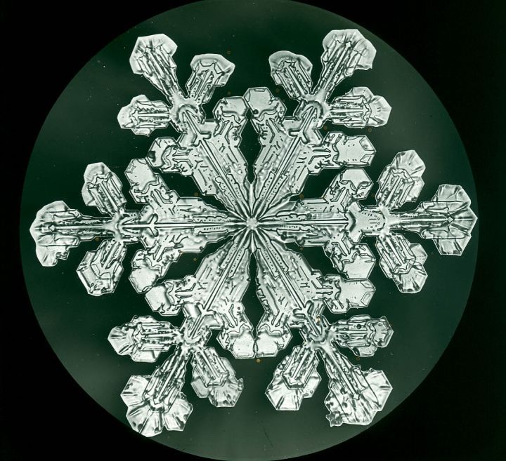 The First Photographs of Snowflakes Discover the Groundbreaking Microphotography (2017)