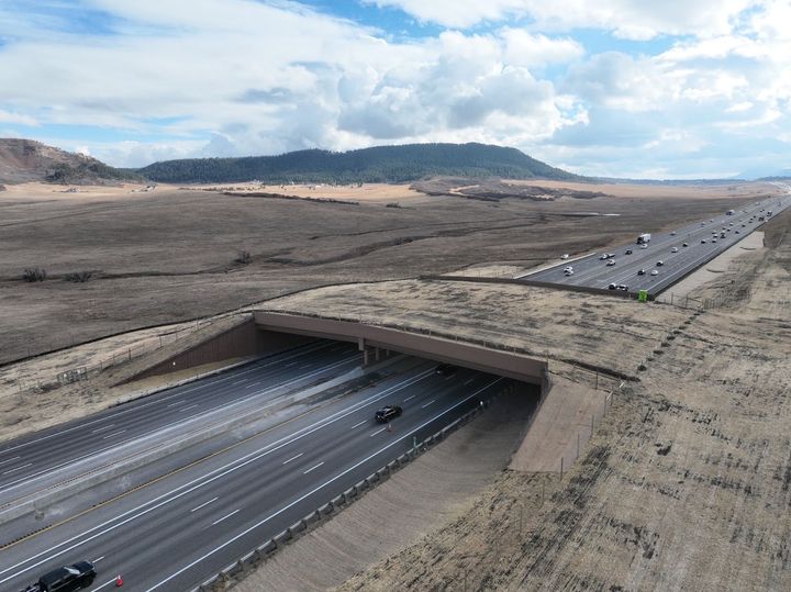 Largest wildlife overpass in North America now open in Colorado