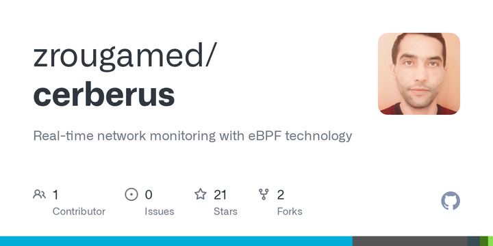 Show HN: Cerberus – Real-time network monitor with eBPF