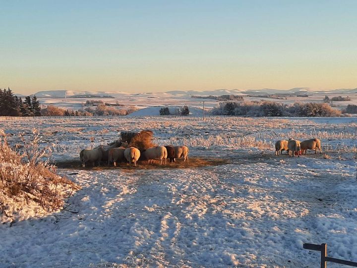 Mathematicians don't care about foundations (2022)