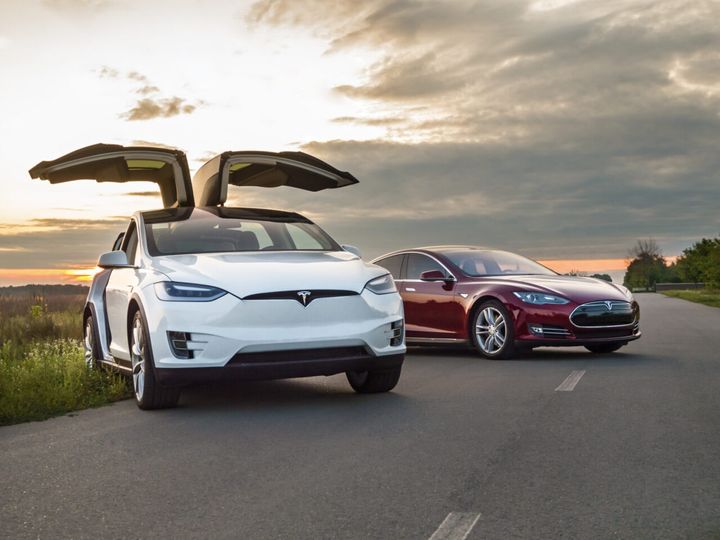 Dutch Tesla Fleet Goes Bankrupt After Betting on Musk's Self-Driving Promises