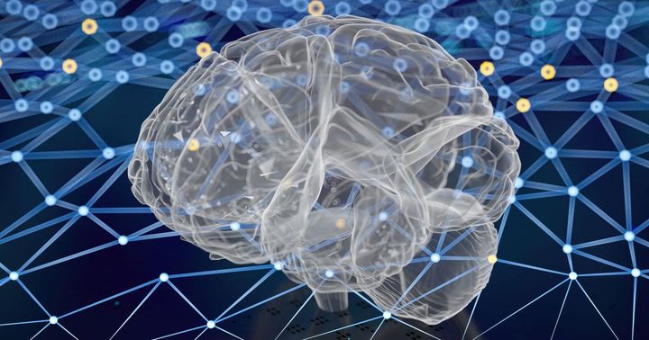 Alzheimer’s disease can be reversed in animal models? Study