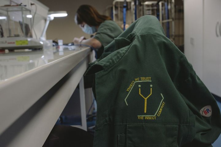 Ÿnsect, a French insect farming startup, has been been placed into liquidation