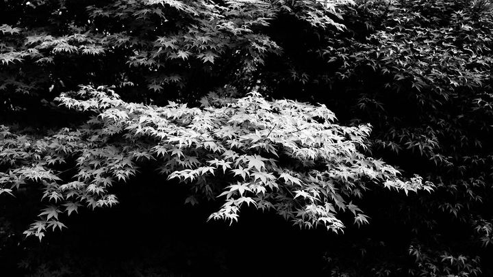 Building Physical Agentic AI