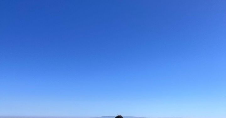 Something Big Is (Not) Happening