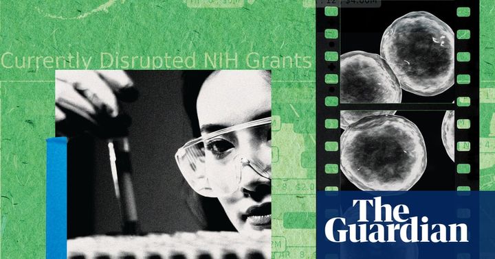 We're no longer attracting top talent: the brain drain killing American science