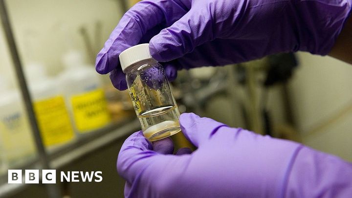 Single vaccine could protect against all coughs, colds and flus