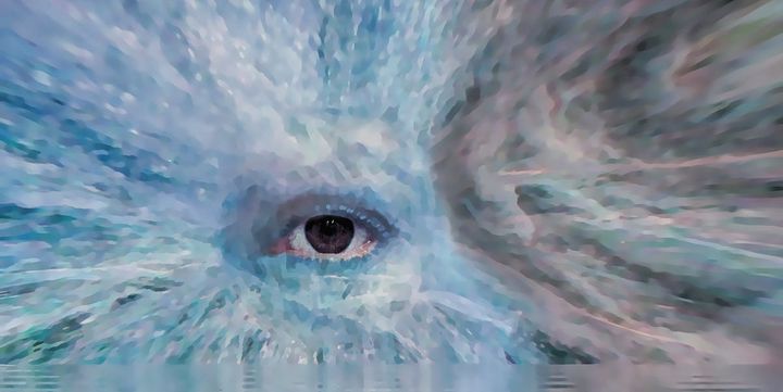 Heaven Has a Physical Location, a Physicist Claims