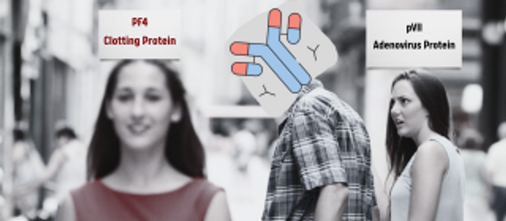 Rare Blood Clots After Certain Covid Vaccines