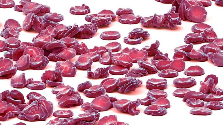 The Coming Age of Genetic Doping in Olympic Sport