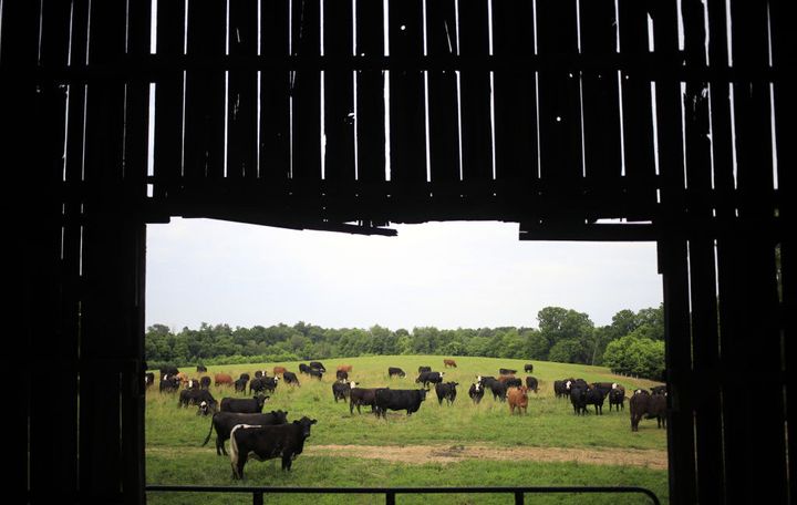 Data center builders thought farmers would willingly sell land, learn otherwise