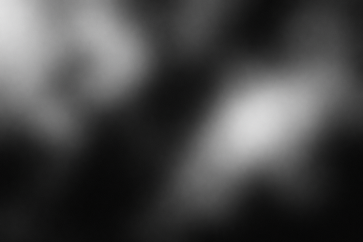 Everyone in AI is building the wrong thing for the same reason