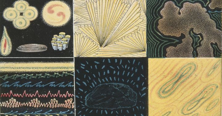 Michael Pollan punctures the AI bubble