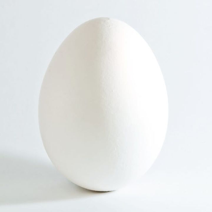 Scoring Open Source Contributors in the Age of AI Slop: Finding Good Eggs