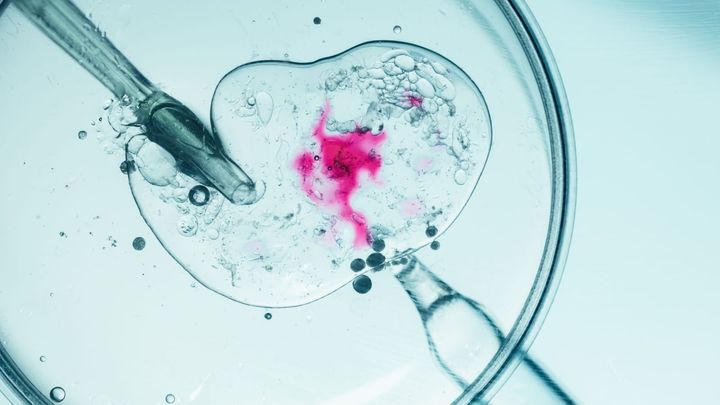 Een kleine non-profitorganisatie deed wat de FDA niet wilde doen