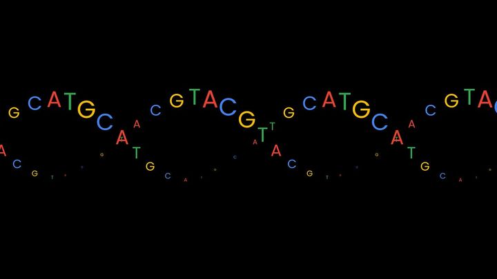 A Visual Guide to DNA Sequencing