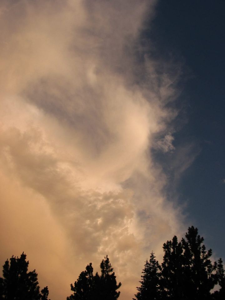 State of WASI support for CPython: March 2026