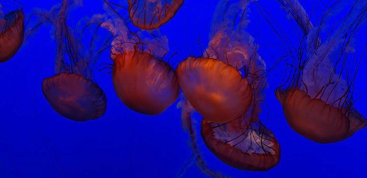 Willingness to look stupid