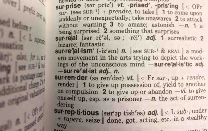Can the Dictionary Keep Up?