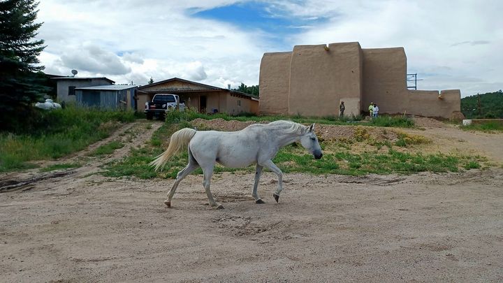 The No World Order: Meir Kahane, Netanyahu, Trump, and the War Beyond Iran