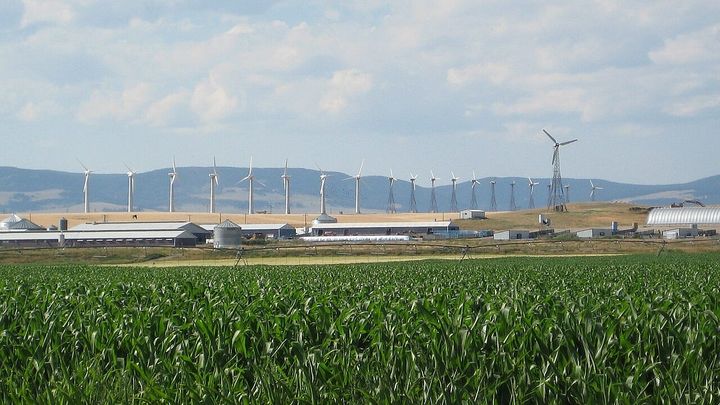 A Plain Anabaptist Story: The Hutterites