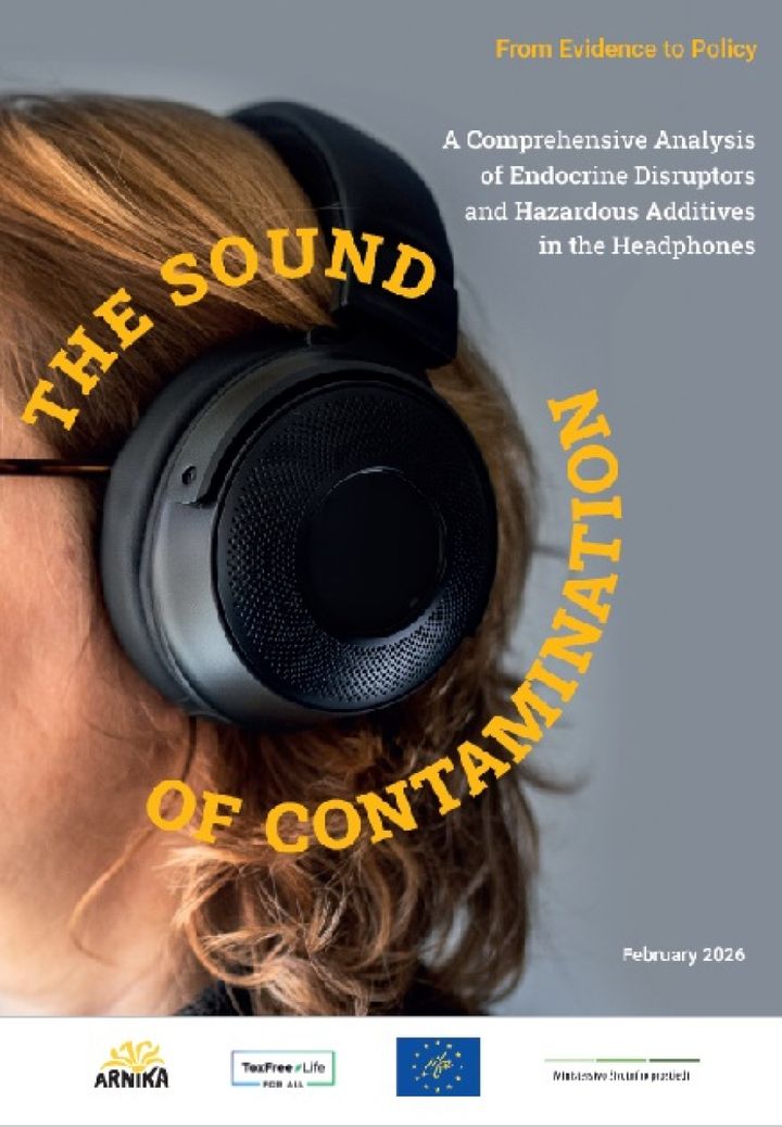 Analysis of Endocrine Disruptors and Hazardous Additives in Headphones